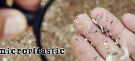 Tanah Jatibarang mengandung mikroplastik: bahaya kesehatan mengintai masyarakat